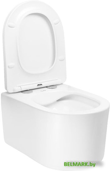 Унитаз AV Engineering Art AVWHR204 (белый) - фото2