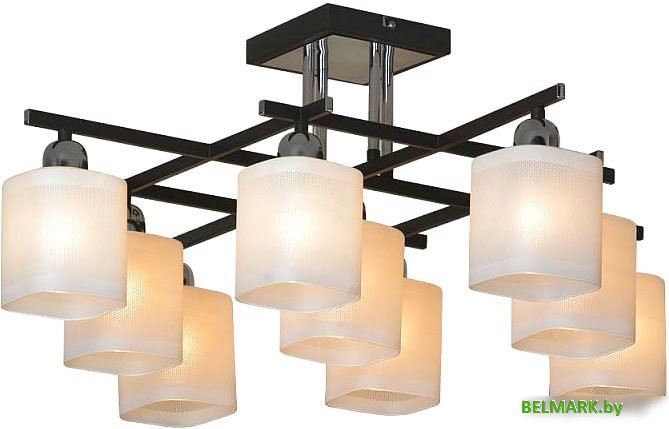 Люстра Lussole Costanzo LSL-9007-09 - фото