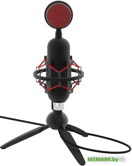 Микрофон Ritmix RDM-230 USB Eloquence - фото