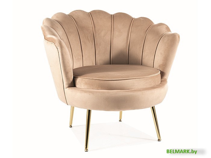 Интерьерное кресло Signal Camellia Velvet Bluvel 28 (бежевый/золотой) - фото