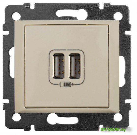 Розетка USB Legrand Valena 694372 (слоновая кость) - фото