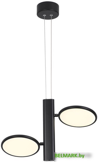 Подвесная люстра Lussole Aberdeen LSP-7084 - фото2