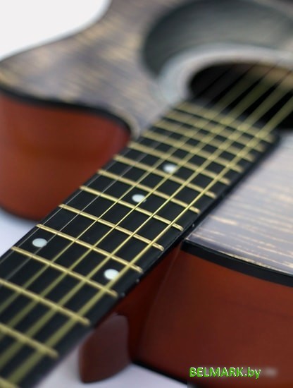 Акустическая гитара Homage LF-3800CT-N - фото2