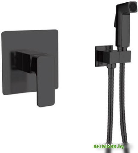 Гигиенический душ Vieir V113551-G - фото