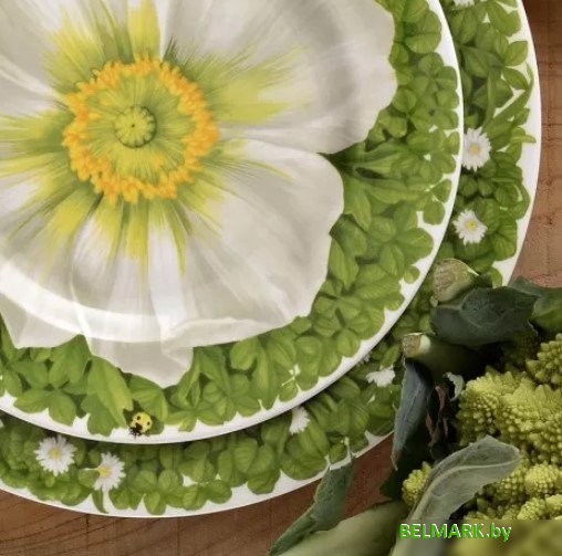 Тарелка обеденная Taitu Prati Italiani Front View 2-90-C - фото2