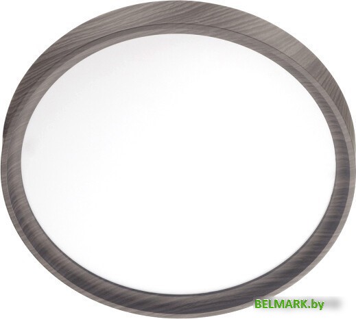 Светильник Sonex Woodi 7627/EL - фото