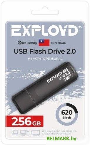 USB Flash Exployd 620 256GB (черный) - фото