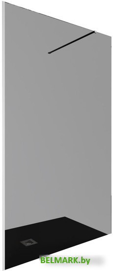 Душевая стенка Allen Brau Infinity 1 3.21014.BA.T 100x200 323806 (серебро браш) - фото2