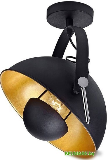 Люстра Lussole Loft LSP-9825 - фото