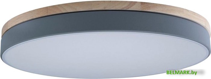 Люстра-тарелка LOFT IT Axel 10001/36 Grey - фото