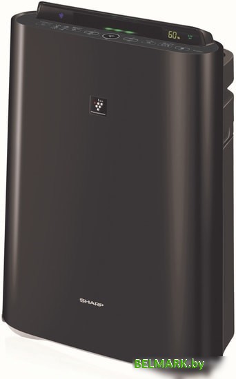 Мойка воздуха Sharp KC-D40EUB - фото2