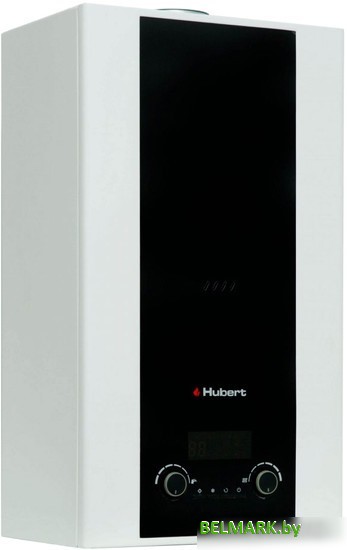 Отопительный котел Hubert AGB 30WLB - фото
