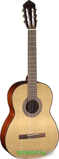 Акустическая гитара Cort AC100 SG - фото