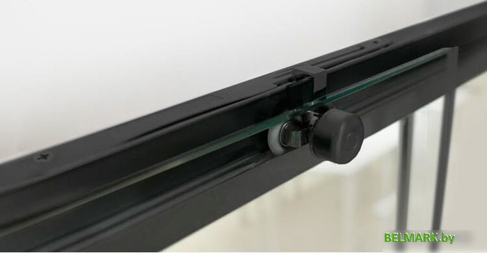 Душевая дверь RGW LE-12B 110 - фото2