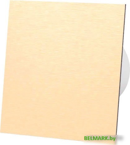 Вытяжной вентилятор airRoxy dRim 100PS-C169 - фото