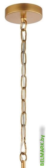 Подвесная люстра Favourite Absolute 2928-6P - фото2