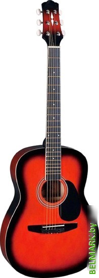 Акустическая гитара Naranda CAG110BS - фото