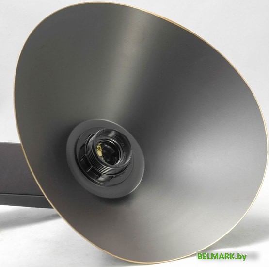 Припотолочная люстра Lussole Loft Opelika LSP-9535 - фото2