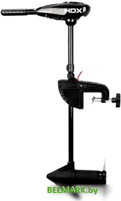 Лодочный мотор HDX 40L - фото