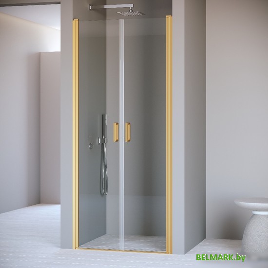 Душевая дверь RGW PA-104Gb 060810408-16 80 (золото brush/прозрачное стекло) - фото
