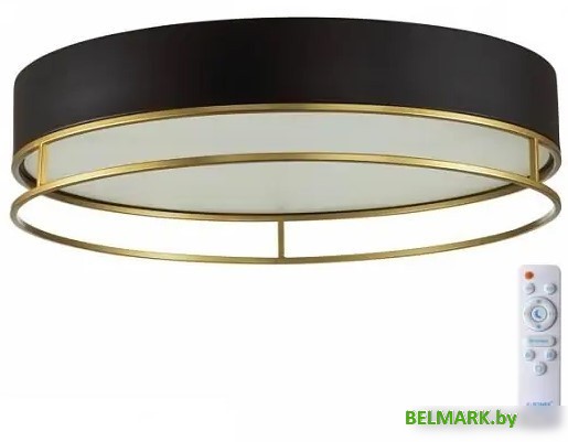 Припотолочная люстра Sonex Lofty 7723/65L - фото