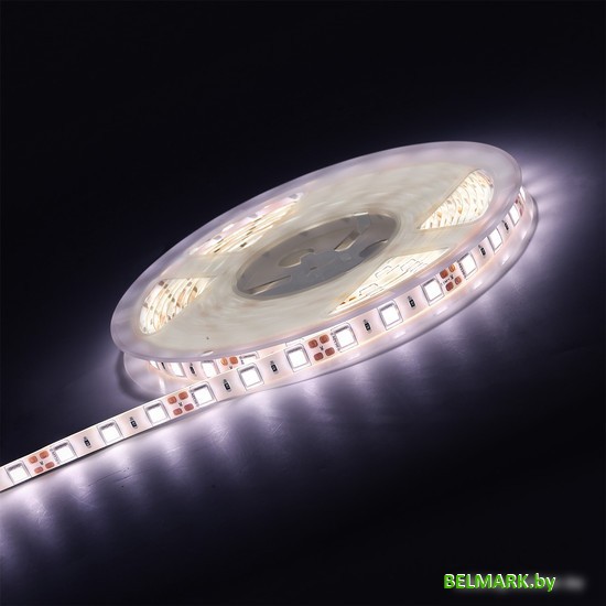 Светодиодная лента SmartBuy SMD 5050/60 SBL-IP20-14-4-6500K - фото
