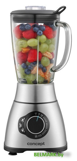 Стационарный блендер Concept SM3500 - фото