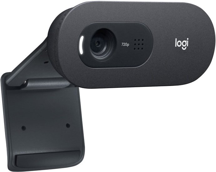 Веб-камера Logitech C505 - фото2