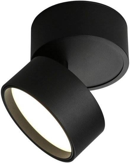 Спот Omnilux Lenno OML-101319-12 - фото