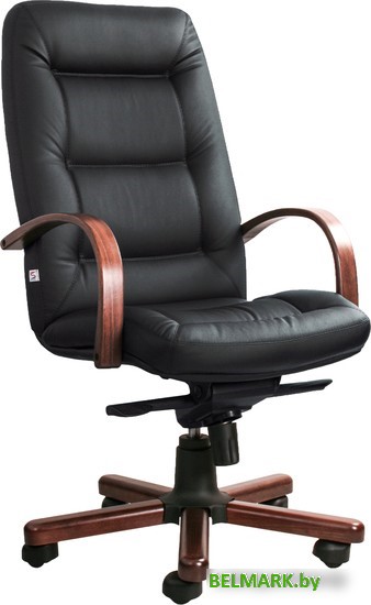 Кресло Белс Senator Extra A SP 400290-75/SPA (натуральная кожа, черный) - фото