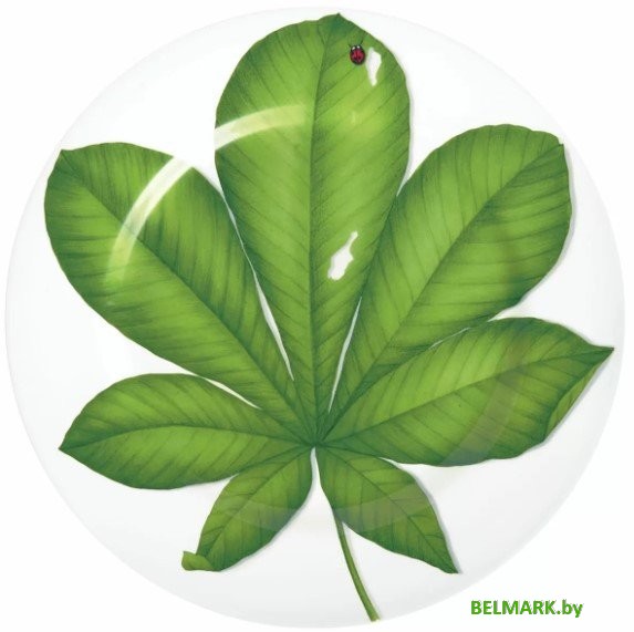 Блюдо Taitu Freedom Leaf 1-86-D - фото
