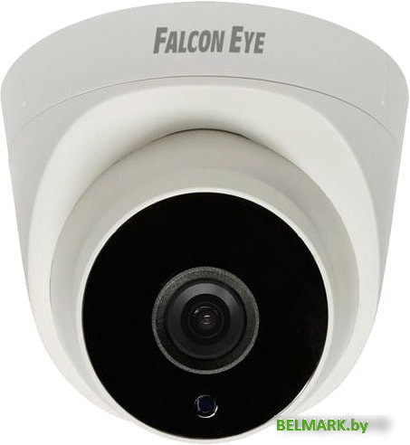 IP-камера Falcon Eye FE-IPC-DP2e-30p - фото