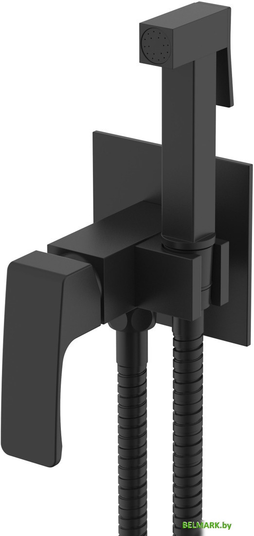 Гигиенический душ Raglo R01.52.06 - фото