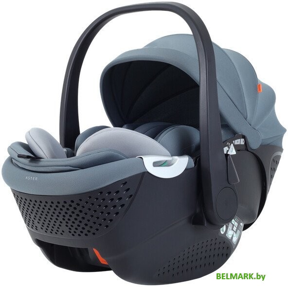 Детское автокресло Rant Aster Zero AY378 (графитовый) - фото