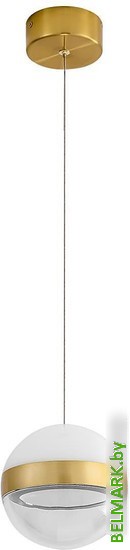 Подвесная люстра Odeon Light Roni 5036/9L - фото