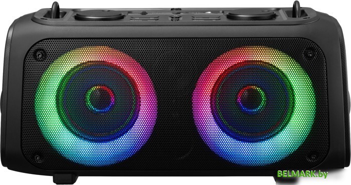 Беспроводная колонка Hyundai H-PS1030 - фото