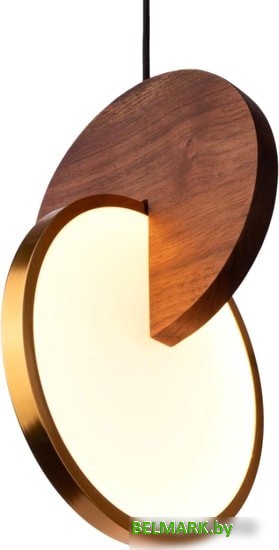 Подвесная люстра LOFT IT ECLIPSE 9970C - фото2