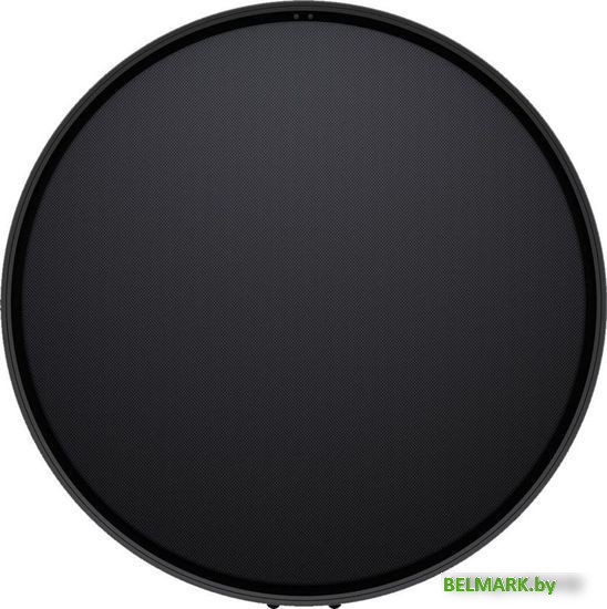 Беспроводная аудиосистема Defunc Home Large (черный) - фото2