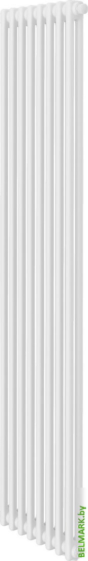 Стальной трубчатый радиатор Royal Thermo Insignia VC2180 - 08 секций RAL9016 - фото