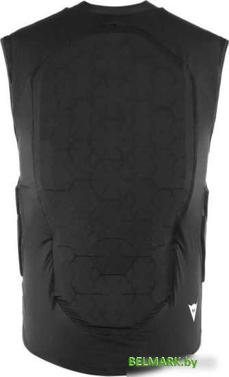 Горнолыжный жилет Dainese Flexagon Waistcoat Man 4876003 (M, черный) - фото2