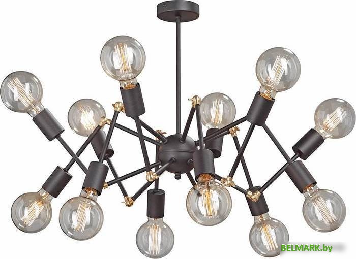 Люстра средней высоты Vitaluce V4897-1/12PL - фото