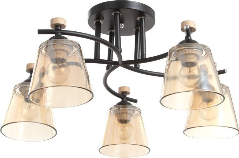 Люстра BayerLux Алатея 9408272 (черный) - фото