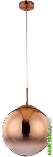 Arte Lamp Jupiter A7963SP-1RB - фото