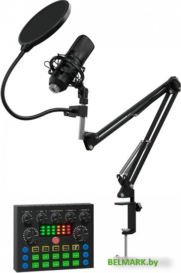 Проводной микрофон Oklick SM-600G - фото