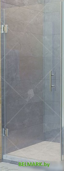 Душевая дверь RGW HO-011 80 (хром/прозрачное стекло) - фото