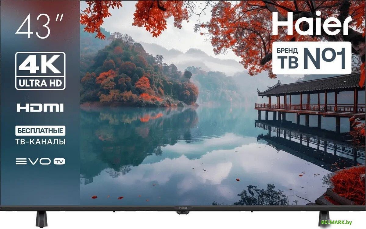 Телевизор Haier 43 LED H1 - фото