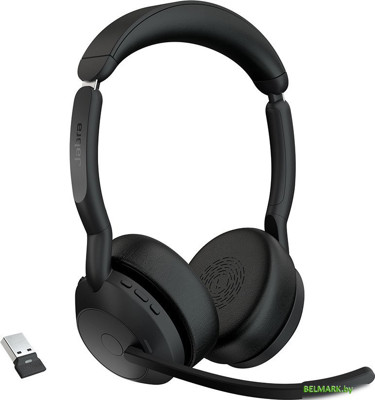 Офисная гарнитура Jabra Evolve2 55 MS Stereo USB-A - фото