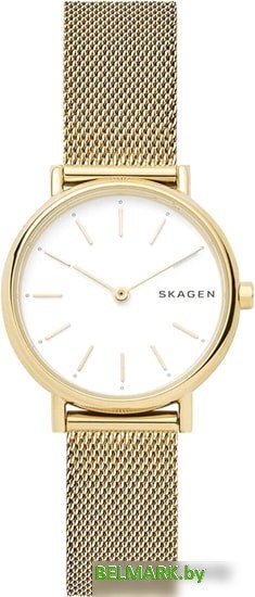 Наручные часы Skagen SKW2693 - фото