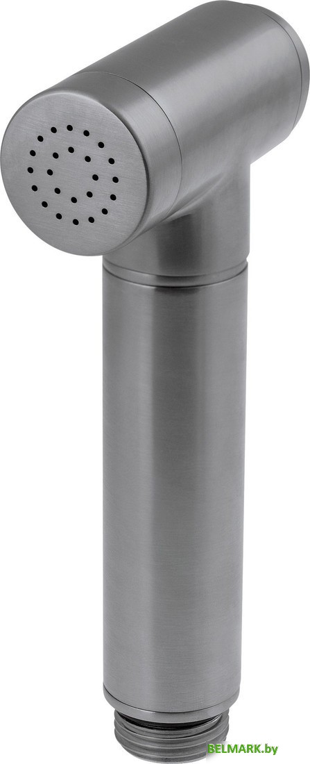 Душевая лейка Deante Bidetta Titanium XDCA7STA1 - фото