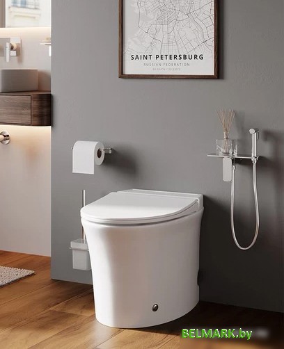 Унитаз IDDIS Pulse PULIDSEi26 - фото